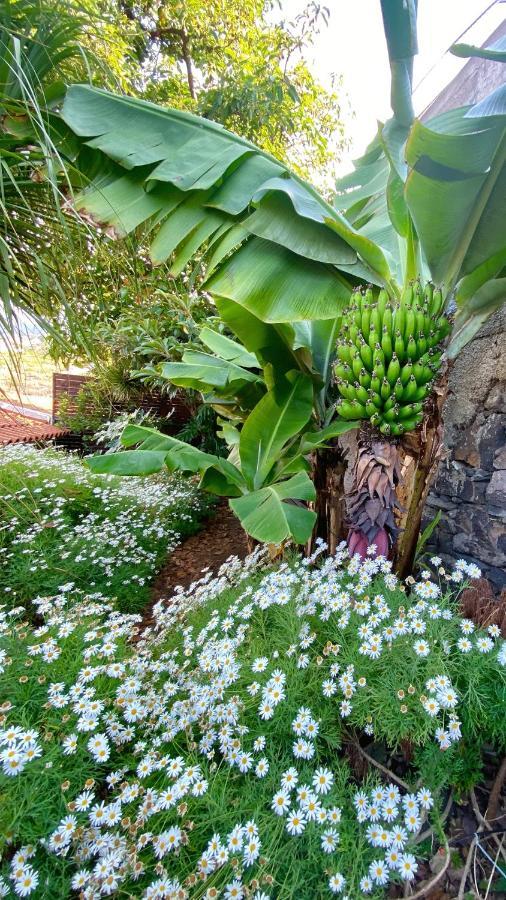 Chalé Casa Ideal Familias Com Vista Mar Desafogada Funchal (Madeira)